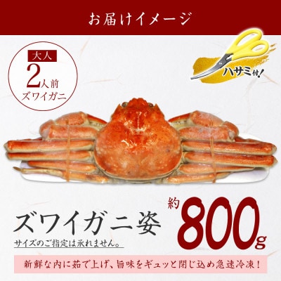 ズワイガニ姿ボイル済み 800g前後 蟹ハサミ・ガイド付 北海道 弟子屈町 3182