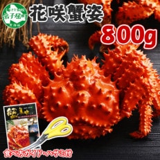 花咲ガニ 1尾 姿 約800g 蟹ハサミ・ガイド付 ボイル済み 北海道 弟子屈町 1305