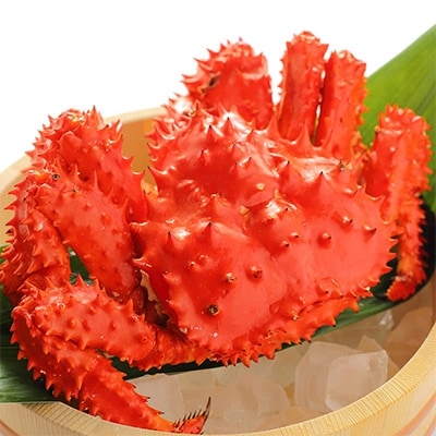 北海道 厳選 花咲蟹 ボイル済み 大サイズ 800g前後 蟹ハサミ ガイド付 380 お礼品詳細 ふるさと納税なら さとふる 北海道 厳選 花咲蟹 ボイル済み 大サイズ 800g前後 蟹ハサミ ガイド付 380 お礼品詳細 ふるさと納税なら さとふる
