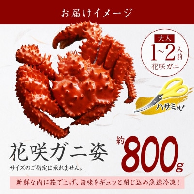 花咲ガニ 1尾 姿 約800g 蟹ハサミ・ガイド付 ボイル済み 北海道 弟子屈町 2927
