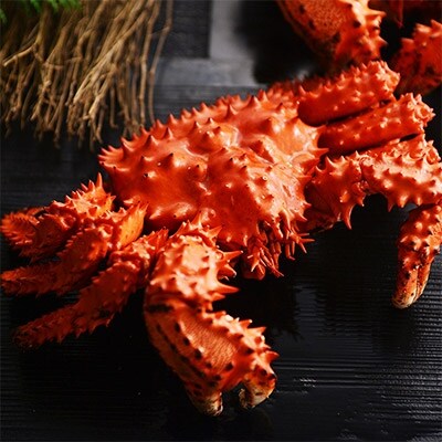 北海道 花咲蟹 ボイル済み 600g前後 蟹ハサミ ガイド付 694 お礼品詳細 ふるさと納税なら さとふる