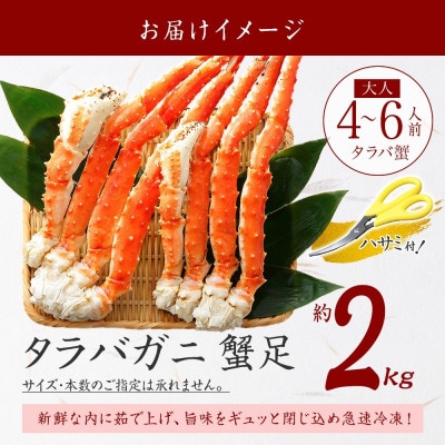 タラバガニ足 約2kg 蟹ハサミ・ガイド付 3~4L ボイル済み 北海道 弟子屈町 3308