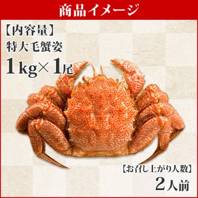 北海道 厳選 毛蟹 姿 大 ボイル済み 1kg前後 ロシア産 蟹ハサミ ガイド付 404 お礼品詳細 ふるさと納税なら さとふる