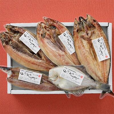 北海道 厳選 加藤水産 ピチピチ造り 干物 5種 5点セット 61 お礼品詳細 ふるさと納税なら さとふる