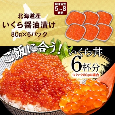 いくら醤油漬け 80g×6個 北海道 弟子屈町 2484