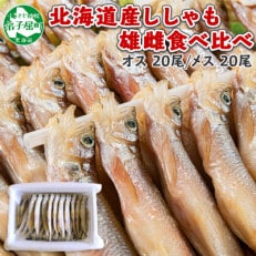 ししゃも セット 40尾 雄雌 焼き魚 干物 北海道 弟子屈町 1316