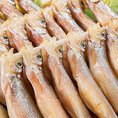 【北海道】干物 焼き魚 ししゃも 雄雌 40尾 370
