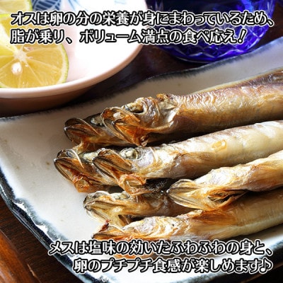 ししゃも セット 40尾 雄雌 焼き魚 干物 北海道 弟子屈町 1316