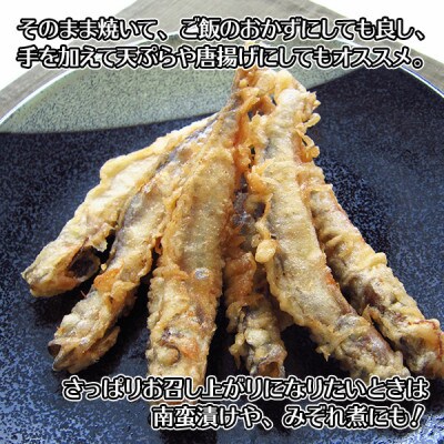 ししゃも セット 40尾 雄雌 焼き魚 干物 北海道 弟子屈町 1316