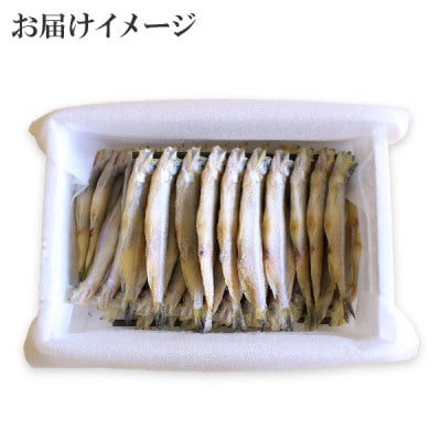 ししゃも セット 40尾 雄雌 焼き魚 干物 北海道 弟子屈町 1316