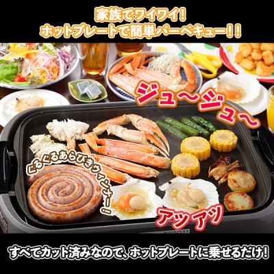 厳選 海鮮バーベキューセット 蟹 帆立 野菜 約4人前 北海道 弟子屈町 1204