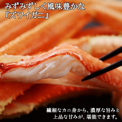 【2024年2月中旬発送】【のし】ズワイガニ足 800g ハサミ・ガイド 北海道 弟子屈 1522