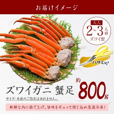 【のし付】ズワイガニ足 約800g 2-3人前 蟹ハサミ・ガイド付 ボイル 北海道 弟子屈 3375