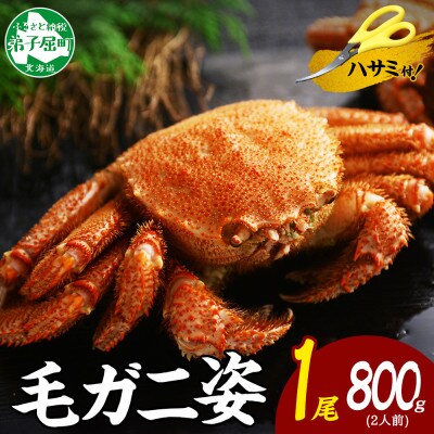 【のし付】【北海道】 毛蟹 姿(大) ボイル済み 800g前後 蟹ハサミ・ガイド付 3302