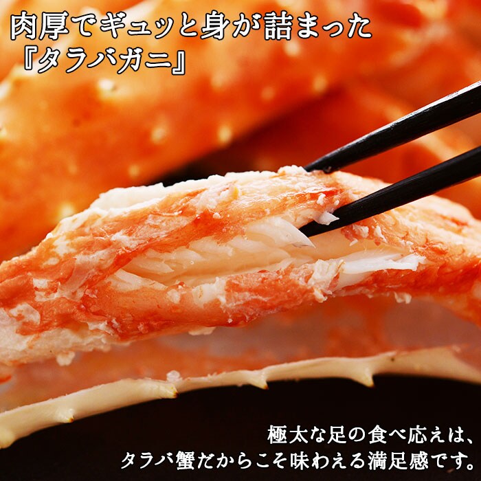 【2024年2月下旬発送】【のし付】タラバガニ足 2kg ハサミ・ガイド 北海道 弟子屈 1705