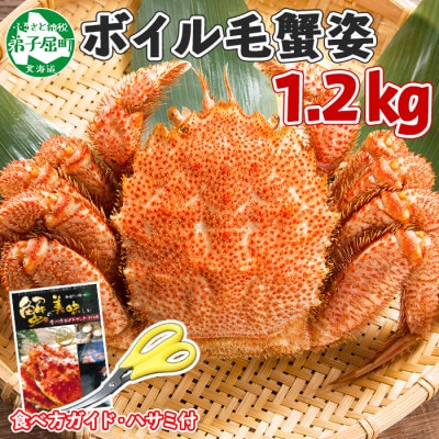 【のし付】【北海道】厳選 毛蟹 姿(大) ボイル済み 1.2kg前後(ロシア産) 蟹ハサミ付 411