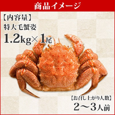 【のし付】【北海道】厳選 毛蟹 姿(大) ボイル済み 1.2kg前後(ロシア産) 蟹ハサミ付 411