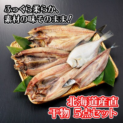 【2023年3月中旬発送】【のし付】干物 ピチピチ造り 5種/5点 北海道 弟子屈町 1319