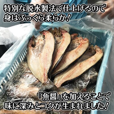 【2023年3月中旬発送】【のし付】干物 ピチピチ造り 5種/5点 北海道 弟子屈町 1319