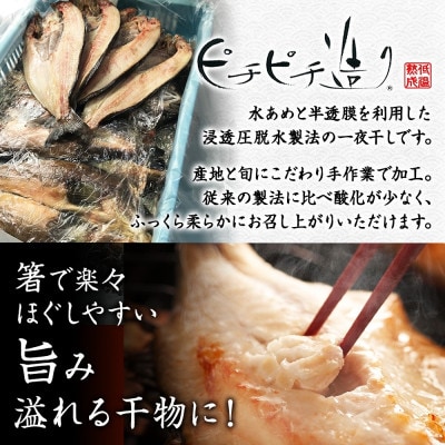 【のし付】加藤水産のピチピチ造り干物 8種9点セット 秋刀魚 ホッケ 鮭 北海道 弟子屈町 2918