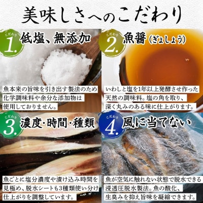 【のし付】加藤水産のピチピチ造り干物 8種9点セット 秋刀魚 ホッケ 鮭 北海道 弟子屈町 2918