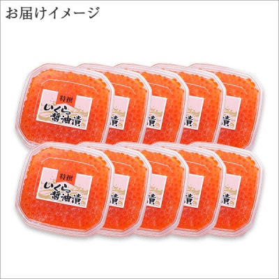 【のし付】【北海道】厳選 いくら醤油漬け80g×10個 北海道 弟子屈町 1234