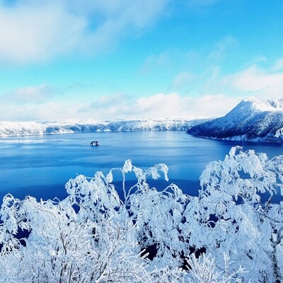 のし付 北海道 厳選干物 焼き魚 開きほっけ 大 1kg前後 361 お礼品詳細 ふるさと納税なら さとふる