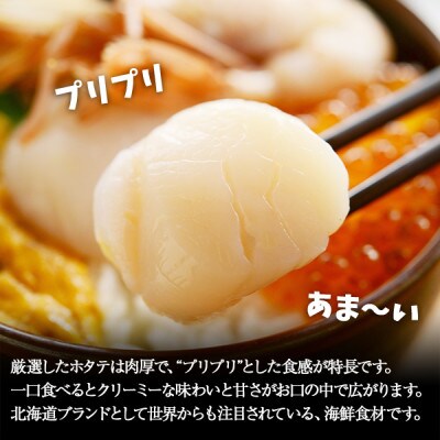 【2023年2月下旬発送】【のし付】帆立 玉冷 刺身用 300g 北海道 弟子屈町 441
