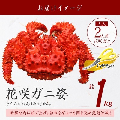 【のし付】花咲ガニ 1尾 姿 約1kg 蟹ハサミ・ガイド付 ボイル済み 北海道 弟子屈町 1306