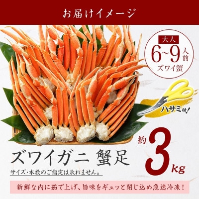 ズワイガニ足 約3kg 6～9人前 蟹ハサミ・ガイド付 ボイル済み 北海道 弟子屈町 3332