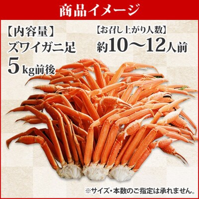 ズワイガニ足 約5kg 10~12人前 蟹ハサミ・ガイド付 ボイル済み 北海道 弟子屈町 1526