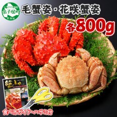毛蟹 & 花咲ガニ 食べ比べ 約800g 蟹ハサミ・ガイド付 ボイル済み 北海道 弟子屈町 1308