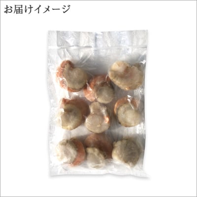 【2023年10月下旬発送】ボイル帆立 2Lサイズ ほたて 500g 北海道 弟子屈町 432