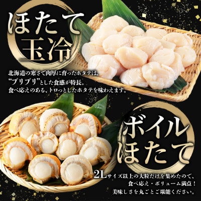 ホタテ食べ比べ　計1kg 帆立 刺身用 & 貝柱 ボイル済 2L 北海道 弟子屈町 3343
