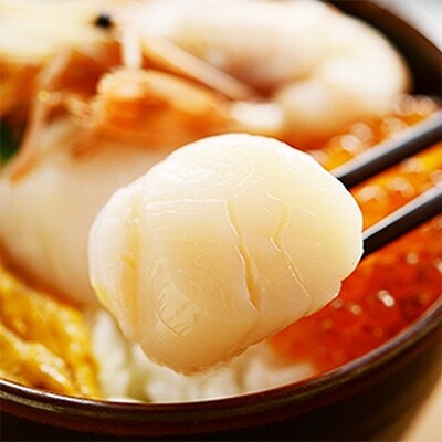 【北海道】厳選 ズワイガニポーション 約500g 生食可&北海道産 ホタテ 300g 505