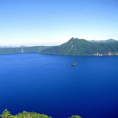【北海道】厳選 海鮮カニ鍋セット 鮭 鱈 ホタテ 蟹 エビ(約4-5人前) 497