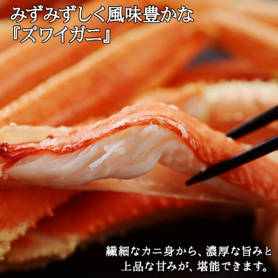 ズワイガニ足 約2kg 4~6人前 蟹ハサミ・ガイド付 ボイル済み 北海道 弟子屈町 1524