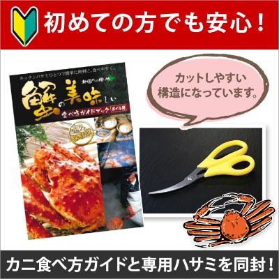 ズワイガニ足 約2kg 4~6人前 蟹ハサミ・ガイド付 ボイル済み 北海道 弟子屈町 1524