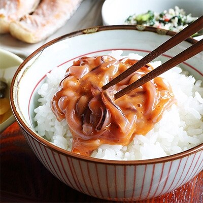 北海道 厳選 いかの塩辛 500g 烏賊 海鮮 おつまみ 442 お礼品詳細 ふるさと納税なら さとふる