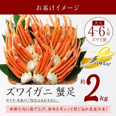 【のし付】ズワイガニ足 約2kg 4～6人前 蟹ハサミ・ガイド付 ボイル済 北海道 弟子屈 3331