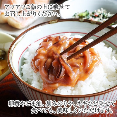 【のし付】 いかの塩辛 500g 烏賊 海鮮 おつまみ 北海道 弟子屈町 3163