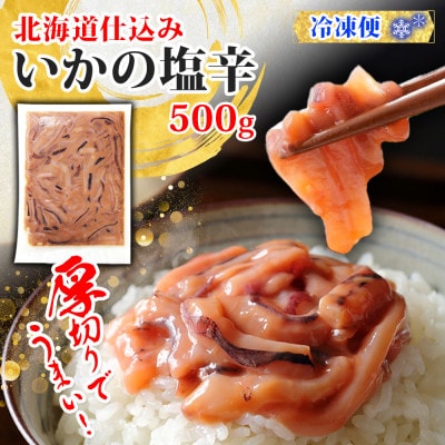 【のし付】 いかの塩辛 500g 烏賊 海鮮 おつまみ 北海道 弟子屈町 3163