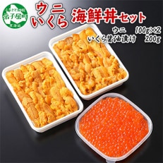 【のし付】ウニ 200g&いくら醤油漬け 200g 2色丼セット 北海道 弟子屈町 1765