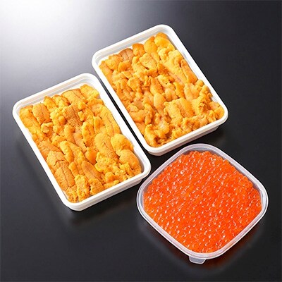【のし付】【北海道】厳選 ウニ 200g&いくら醤油漬け 200g 2色丼セット 496