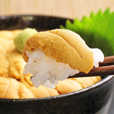 【のし付】【北海道】厳選 ウニ 200g&いくら醤油漬け 200g 2色丼セット 496