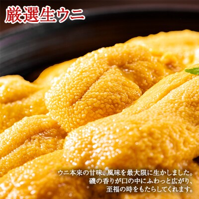 のし付 北海道 厳選 ウニ 0g いくら醤油漬け 0g 2色丼セット 496 お礼品詳細 ふるさと納税なら さとふる のし付 北海道 厳選 ウニ 0g いくら醤油漬け 0g 2色丼セット 496 お礼品詳細 ふるさと納税なら さとふる