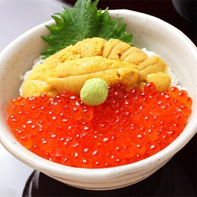 【のし付】【北海道】厳選 ウニ 200g&いくら醤油漬け 200g 2色丼セット 496
