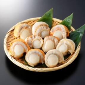 帆立 ホタテ 3 001円以上 5 000円以内 人気特産品おすすめランキング 週間 ふるさと納税サイト さとふる