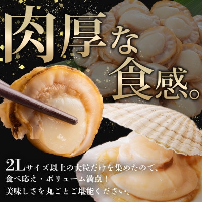 【のし付】ボイル帆立 貝柱 2Lサイズ ボイル済みのほたて 500g 北海道 弟子屈町 2947