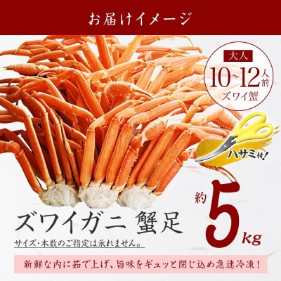 【のし付】ズワイガニ足 約5kg 10～12人前 蟹ハサミ付 ボイル済み 北海道 弟子屈町 2991